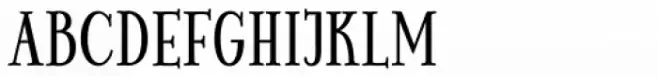 PhotoWall Serif Bold