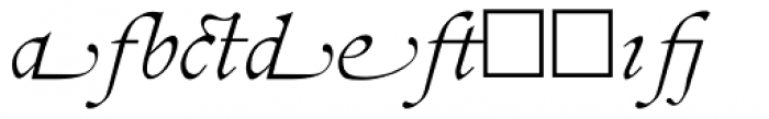 Pinnacle JY Alternates Book Italic