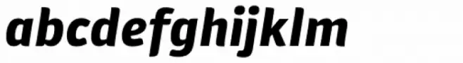 Plantago Extended Black Italic