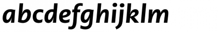 PMN Caecilia Sans Pro Text Heavy Italic