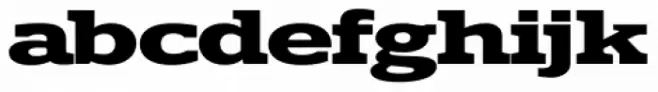 Polyphonic Extended Bold