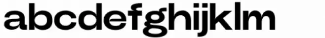 Power Grotesk Bold