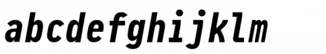 Pragmata Pro Bold Italic Liga