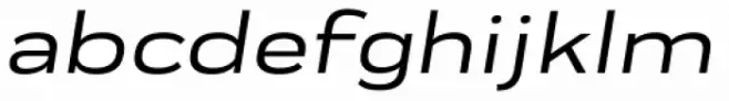 Praktika Medium Extended Italic