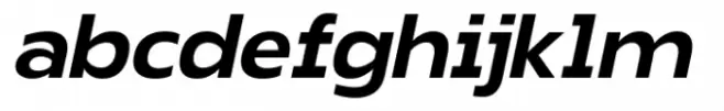 Prapen Medium Italic