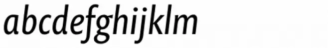 Prenton RP Pro Italic
