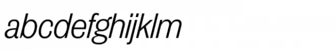 Publish Gothic Std Light Italic