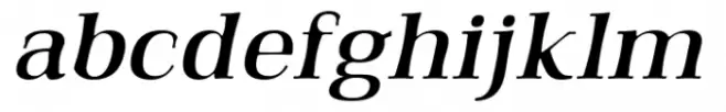 Qualitype Neo Dark Italic