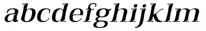 Qualitype Neo Lamp Italic