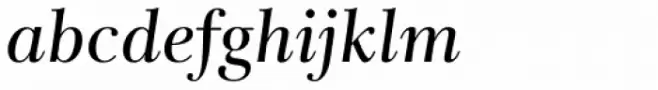 Rabenau Pro Book Italic