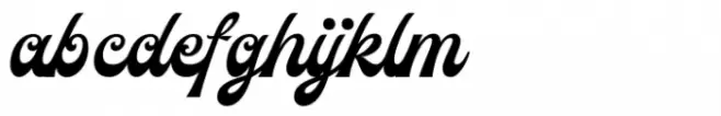 Rawnster Font Duo Script
