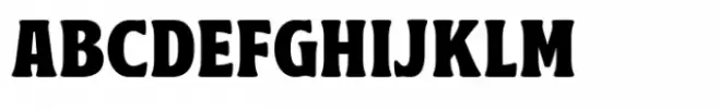 Rawnster Font Duo Serif