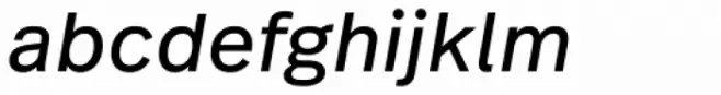 Real Text Pro Regular Obl
