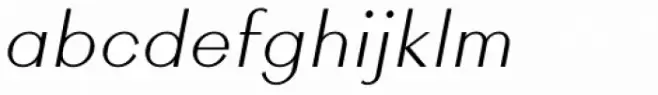 Rigidica Heading Light Oblique