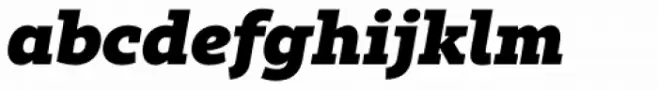 Rival Slab Black Italic