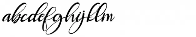 Roberto Italic