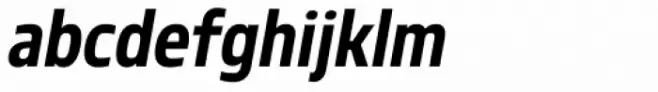 Robusta SemiCond Bold Italic
