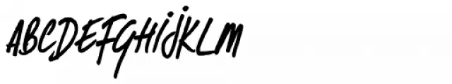 Same Same But Different Bold Italic