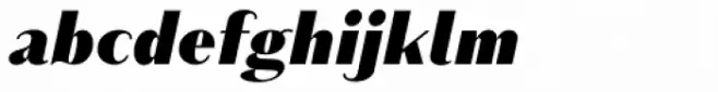 Schism One Black Italic