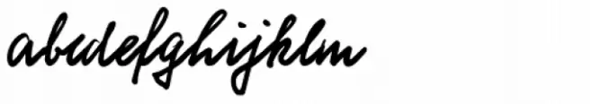 Schneid Handwriting Pro