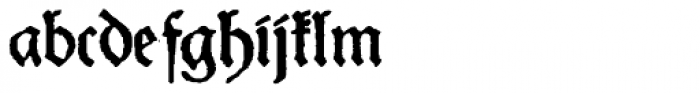 Schneider Buch Deutsch Expanded