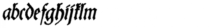 Schneider Buch Deutsch Italic