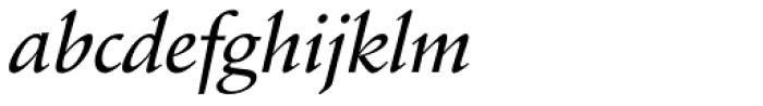Schneidler Amalthea Medium Italic