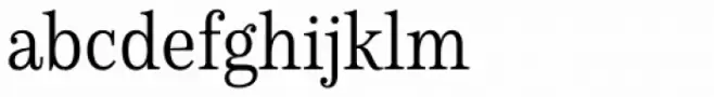 Schorel Condensed Book