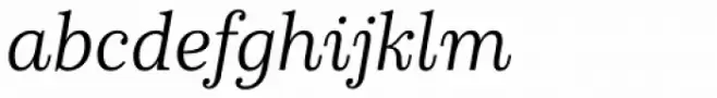 Schorel Norm Book Italic