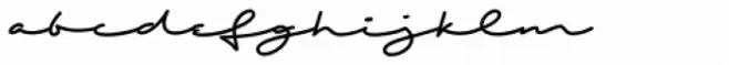 Shopping Script Bold Expanded