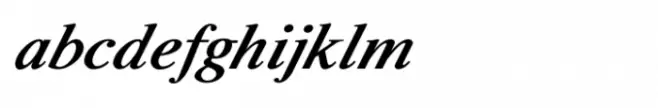 Shree Devanagari 0700 Bold Italic
