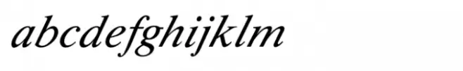 Shree Devanagari 0700 Italic