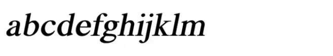 Shree Devanagari 0710 Medium Italic