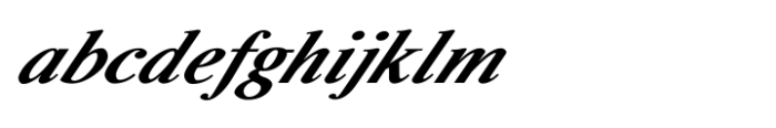 Shree Devanagari 0741 Bold Italic
