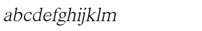 Shree Devanagari 0989 Italic