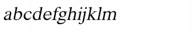 Shree Devanagari 1004 Italic