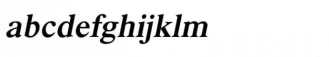 Shree Devanagari 1009 Italic