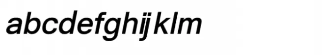 Shree Devanagari 1029 Bold Italic