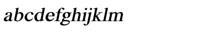 Shree Devanagari 1089 Italic
