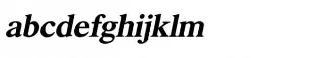 Shree Devanagari 1277 Bold Italic