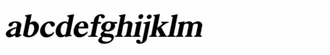 Shree Devanagari 1293 Italic