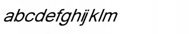 Shree Devanagari 2303 Bold Italic