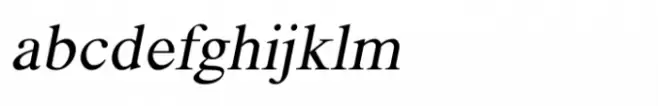 Shree Devanagari 2358 Italic