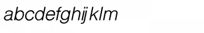 Shree Devanagari 2398 Light Italic