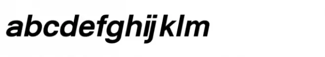 Shree Devanagari 3542 Black Italic