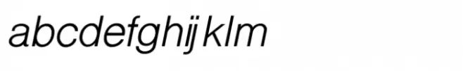 Shree Devanagari 3597 Italic