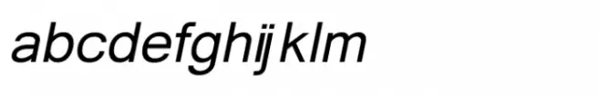 Shree Devanagari 3626 Italic