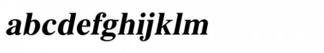 Shree Devanagari 4529 Italic