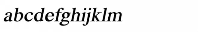 Shree Devanagari 4531 Italic
