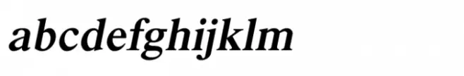 Shree Devanagari 4555 Italic
